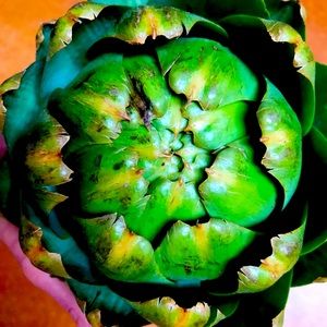 Meet your Posher, Andrea Noelle